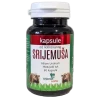 Kapsule (60) 1080px