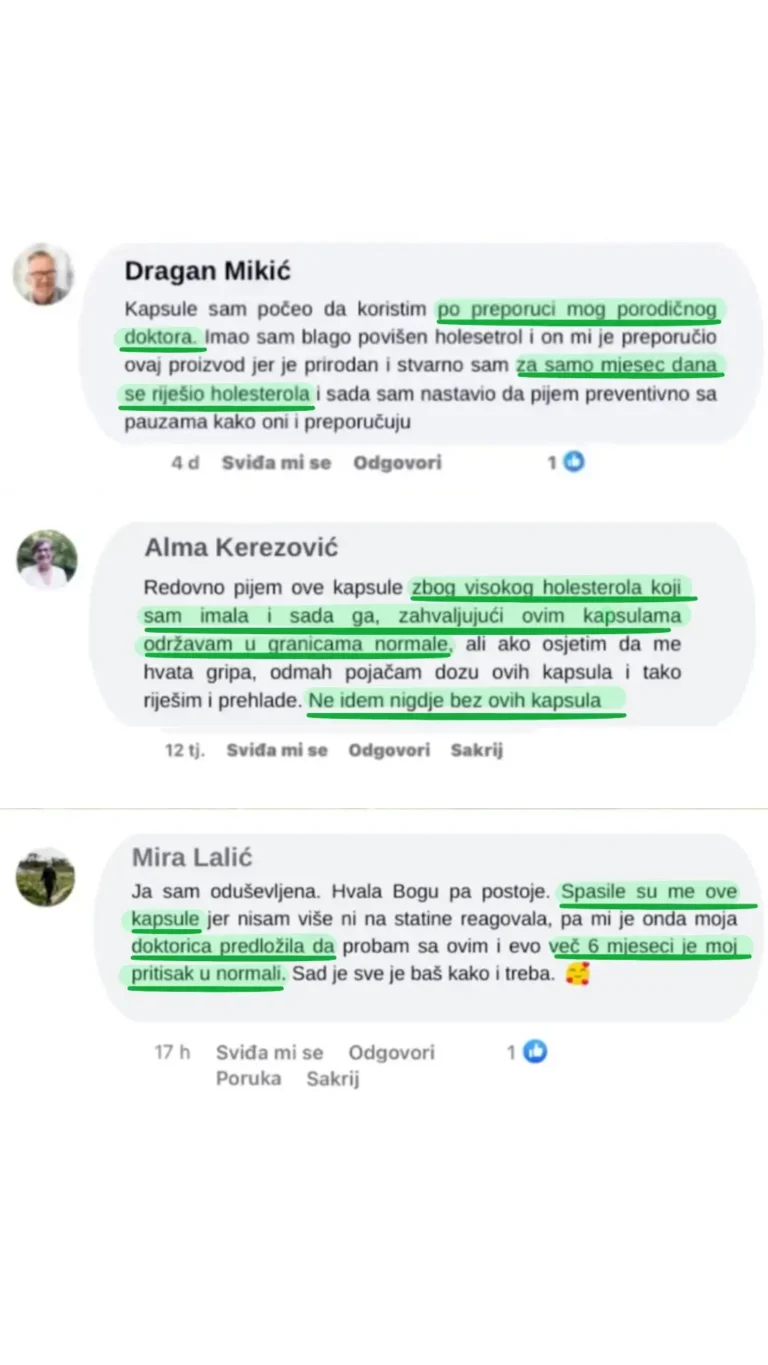Iskustvo korisnika 19