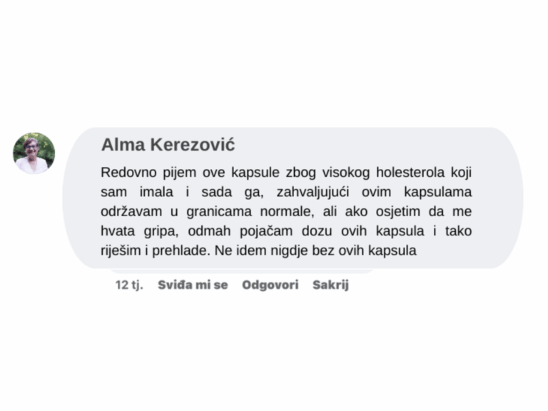 Iskustvo korisnika 31